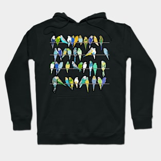 Get your Budgies in a Row Hoodie